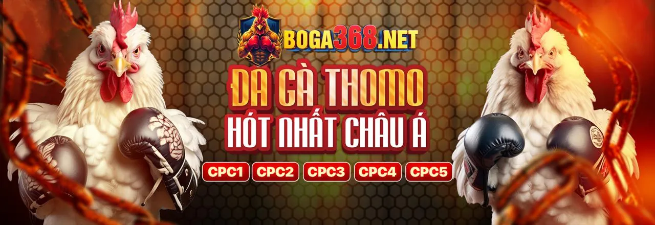 Kinh nghiệm chơi đá gà cam 67 từ chuyên gia